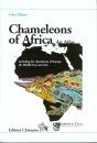 Chameleons of Africa