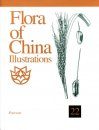 Flora of China Illustrations, Volume 22