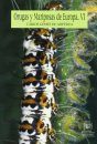 Orugas y Mariposas de Europa: Tomo VI [Caterpillars and Butterflies of Europe, Volume 6]