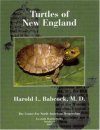 Turtles of the Northeastern United States