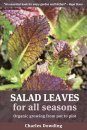 Salad Leaves for All Seasons