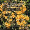 Wild Orchids in Myanmar, Volume 3: Shangri-La of Wild Orchids