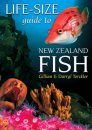Life-Size Guide to New Zealand Fish