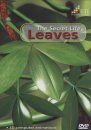 Leaves - The Secret Life (All Regions, PAL)