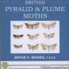 British Pyralid and Plume Moths
