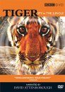 Tiger - Spy in the Jungle (Region 2 & 4)