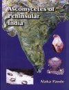 Ascomycetes of Peninsular India