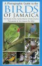 A Photographic Guide to the Birds of Jamaica