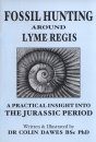 Fossil Hunting Around Lyme Regis