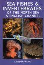 Sea Fishes and Invertebrates of the North Sea & English Channel
