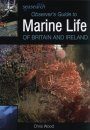 Observer's Guide to Marine Life of Britain and Ireland