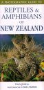A Photographic Guide to Reptiles and Amphibians of New Zealand