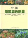 Pictoral Book of Mushrooms in China [Chinese]