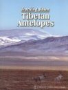 Tracking Down Tibetan Antelopes