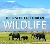 The Best of East African Wildlife