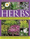 An Illustrated Encyclopedia of Herbs