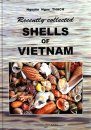 Recently Collected Shells of Vietnam