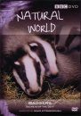 Natural World: Badgers - DVD (Region 2 & 4)