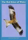 The Red Kites of Wales