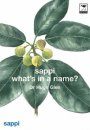 Sappi: What's in a Name?