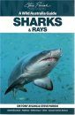 Wild Australia Guide: Sharks and Rays