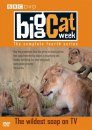 Big Cat Week DVD: The Complete Fourth Series (Region 2 & 4)