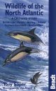 Bradt Wildlife Guide: Wildlife of the North Atlantic