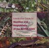 Interactive Guide to Reptiles and Amphibians of the British Isles