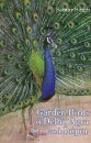 Garden Birds of Delhi, Agra and Jaipur