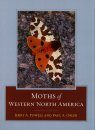 Moths of Western North America
