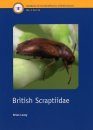 RES Handbook, Volume 5, Part 18: British Scraptiidae