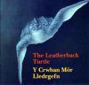 The Leatherback Turtle / Y Crwban Mor Lledrgefn