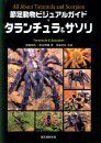 All About Tarantulas and Scorpions [Japanese]