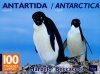 Antartida / Antarctica