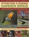 The Illustrated Practical Guide to Birds in the Garden