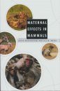 Maternal Effects in Mammals