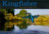 Kingfisher: Tales from the Halcyon River