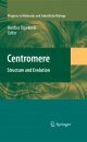 Centromere: Structure and Evolution