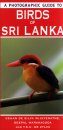 A Photographic Guide to Birds of Sri Lanka