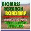 21st Century Biomass Research Roadmap-Biofuels and Cellulosic Ethanol, Feedstocks, Sugars,Thermochemicals, Integrated Biorefineries, Energy Crops and Fuels, Corn, Oil, Pulp, Paper