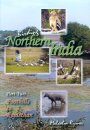 Birding Northern India, Part 2 (All Regions)