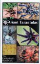 Giant Tarantulas