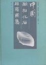 Atlas of Limnetic Fossil Diatoms of China [Chinese]