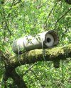 Schwegler Little Owl Box 20