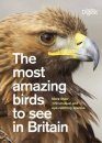 The Most Amazing Birds to See in Britain