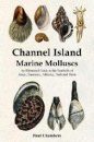 Channel Island Marine Molluscs
