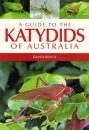 A Guide to the Katydids of Australia