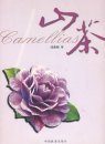 Camellias [Chinese]