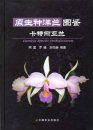 Cattleya Species Orchidacearum [Chinese]