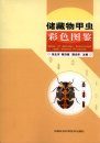 Atlas of Beetles Associated with Stored Products [Chinese]
